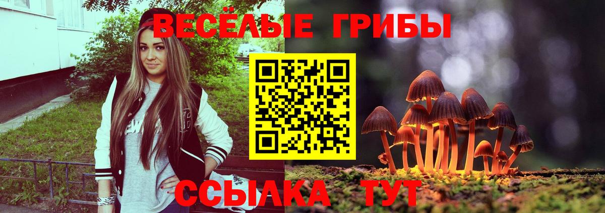 Галлюциногенные грибы ЛСД  Вход с VPN  Славгород 