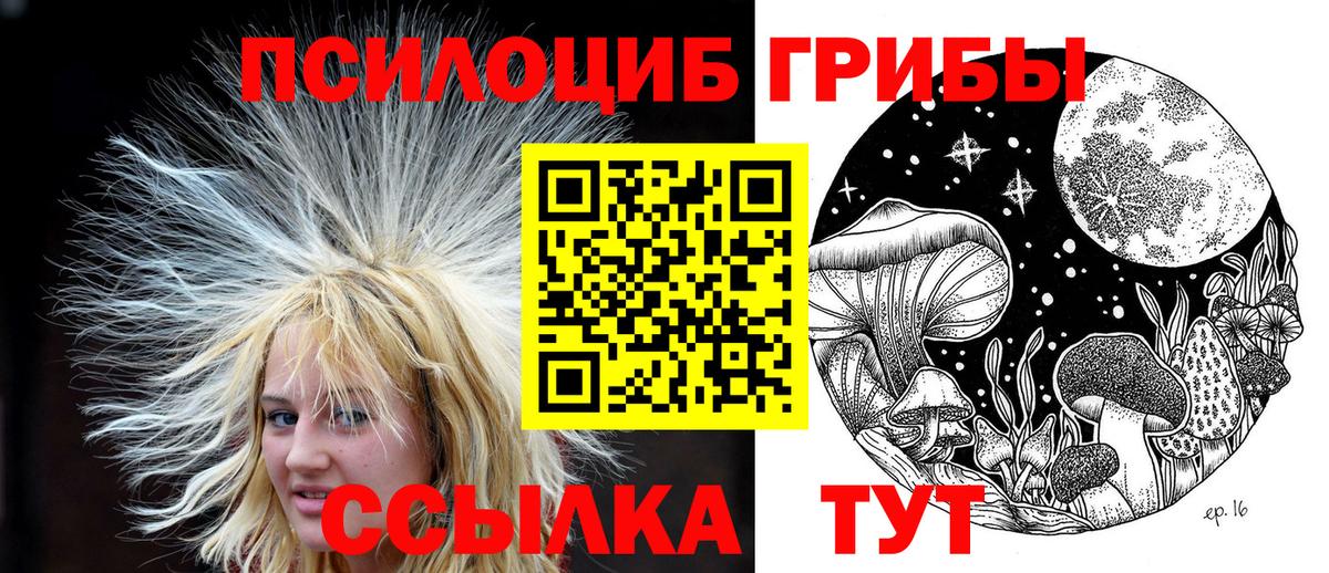 Псилоцибиновые грибы мухоморы Славгород